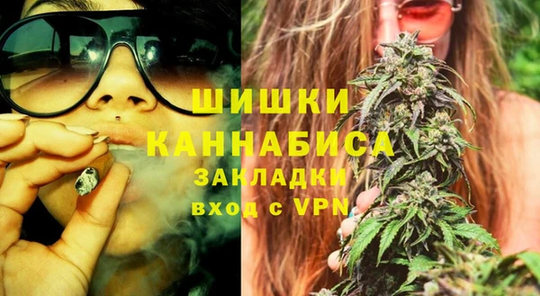 сатива Богородицк