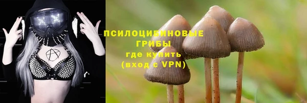скорость Богданович