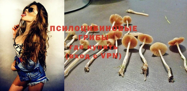 ECSTASY Богородск