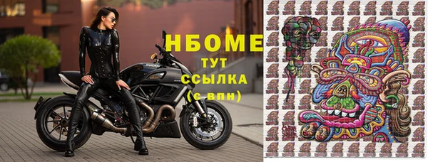 сатива Богородицк