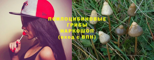 ECSTASY Богородск
