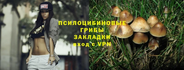 скорость Богданович