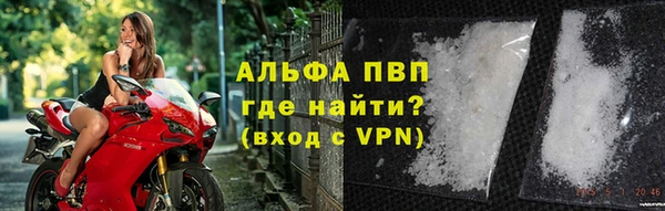 сатива Богородицк